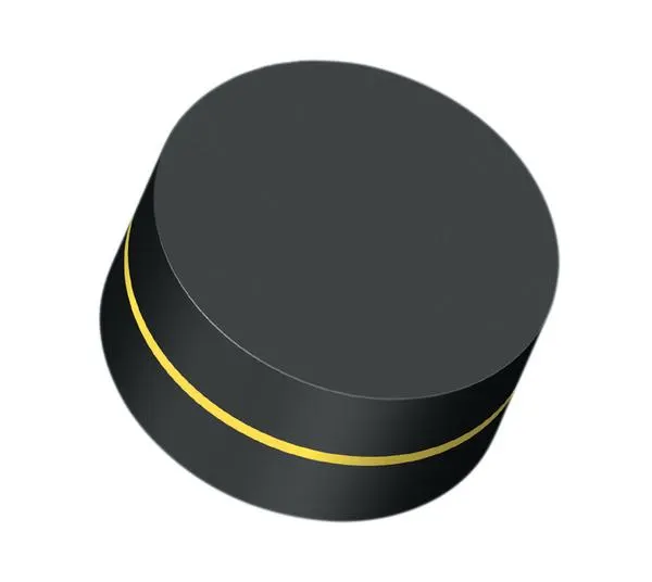 CLAPET NEOPAN PERCE N8 16X5 -SAC 25- 551403