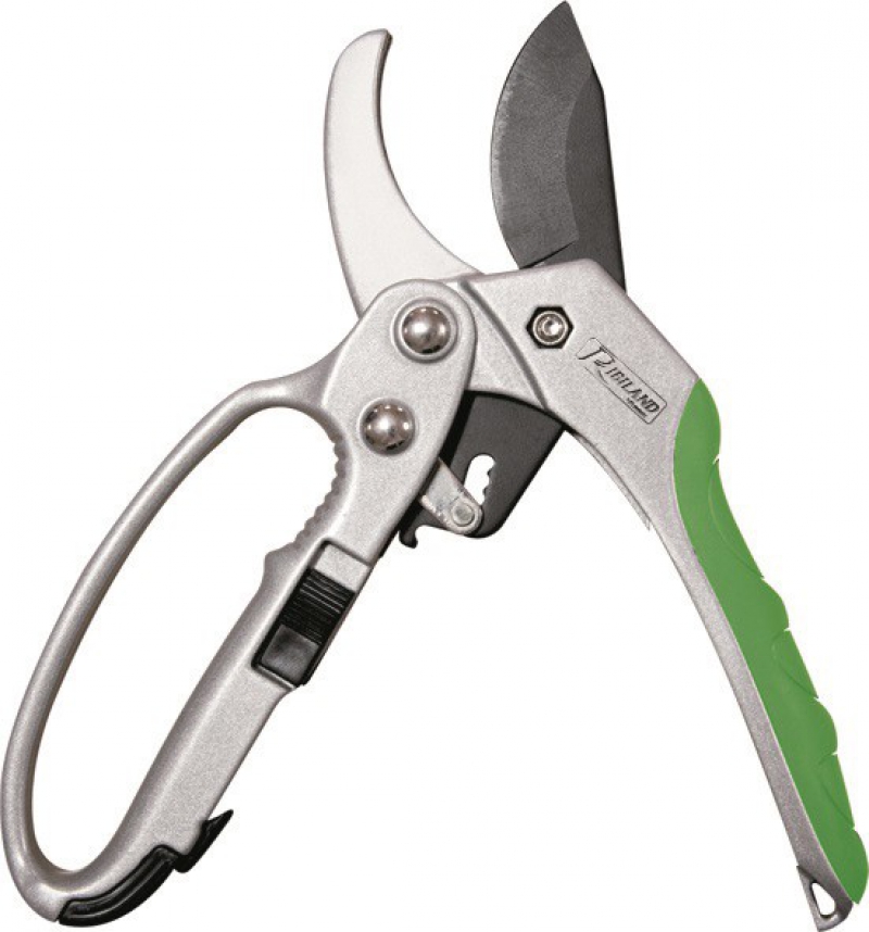 SECATEURS
