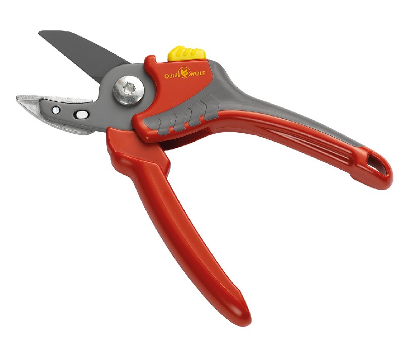 SECATEURS