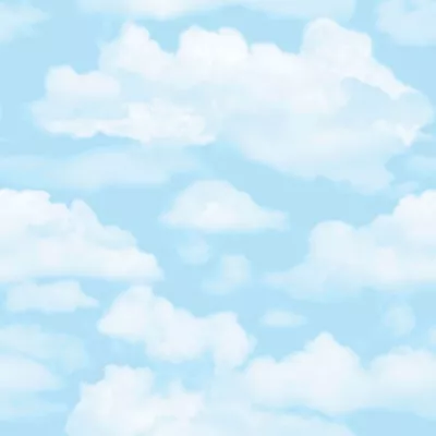 Papier peint support papier Nuages L.1005 x l.52cm bleu