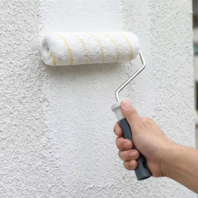 Lot rouleau surface lisse + 3 manchons GoodHome 230mm