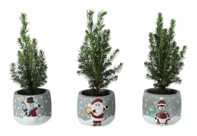 Sapin avec pot décor noel 5,5 cm