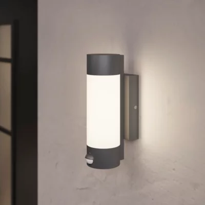 Applique murale à détection Callisto 800lm 14W IP44 GoodHome gris anthracite