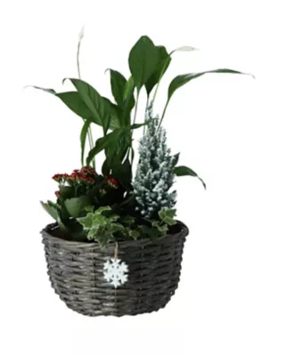 PANIER OSIER 28CM