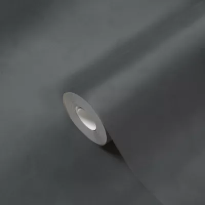 Papier peint Vinyle Intissé GoodHome Izier gris anthracite