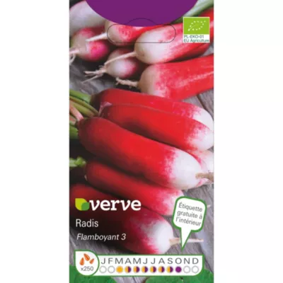 Graines de radis bio variété "French Breakfast 3" Verve semis de mars à septembre