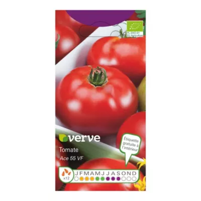 Graines de tomate bio variété "Ace 55 VF" Verve semis de février à avril