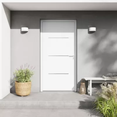 Porte d'entrée FORTIA aluminium blanc RAL 9003 Leme 96 x h.218 cm poussant gauche
