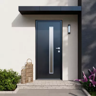 Porte d'entrée FORTIA acier gris RAL 7016 Pasni 96 x h.218 cm poussant droit