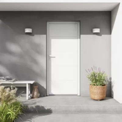 Porte d'entrée FORTIA aluminium blanc RAL 9003 Madryn 96 x h.218 cm poussant droit