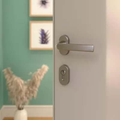 Ensemble poignée sur rosace Incurvé à visser GoodHome Primel effet nickel satin gris chromé