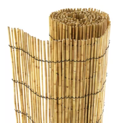 Canisse paillon pele L.3 m x H1 m