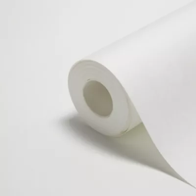 Revêment de rénovation sur intissé Diall blanc 15m 120g/m²