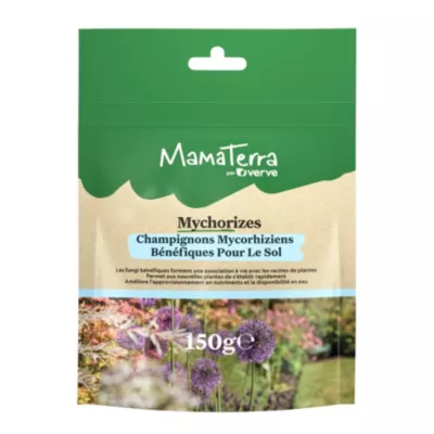 Champignons Mycorhiziens Natural MamaTerra