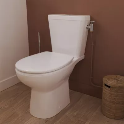 Pack WC à poser sans bord avec abattant déclipsable et frein de chute, sortie horizontale, NF, GoodHome Tasi