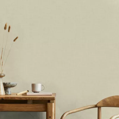 Papier peint vinyle intissé uni structuré beige L.1000 x l.52 cm GoodHome Shung