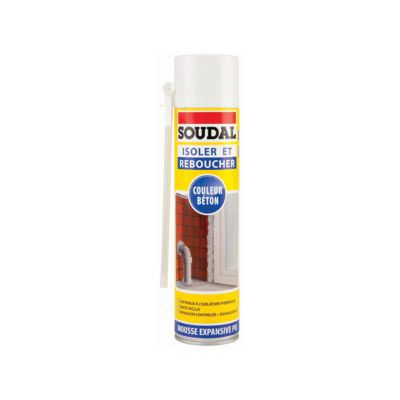Mousse expansive 500ml béton