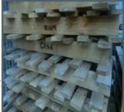 5413945016282 PALETTE CANTILLANA CAN 4 F