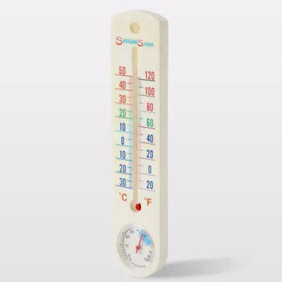 Thermomètre hygromètre analogique intérieur Terdens