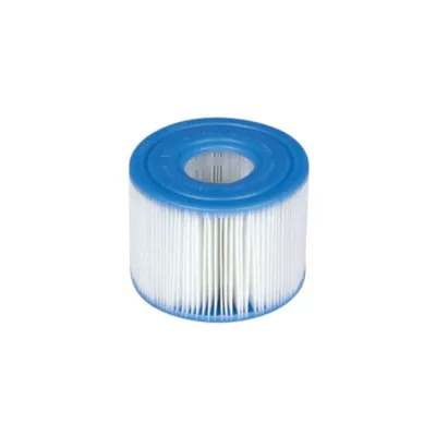 Cartouche pour spa Intex Purespa vendue par 2