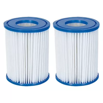 Cartouche de filtration type II Bestway vendue par 2