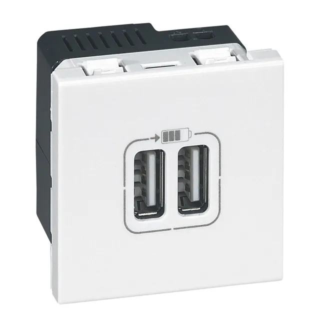 Image principale de Prise chargeur double USB à assembler Mosaic, LEGRAND blanc