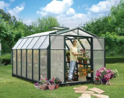 Serre en pvc et polycarbonate Palram Canopia Hobby Gardener vert 8 x 12 m
