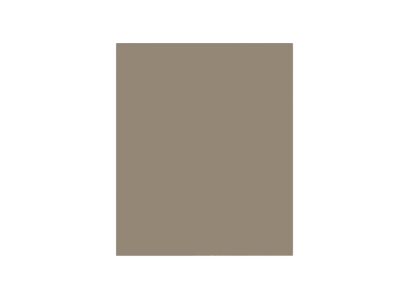Façade XL de meuble de cuisine pour électroménager Palma champagne l.60 x H.72 cm