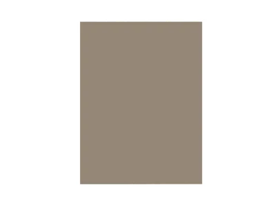 Façade XL de meuble de cuisine pour électroménager Palma champagne l.60 x H.80 cm