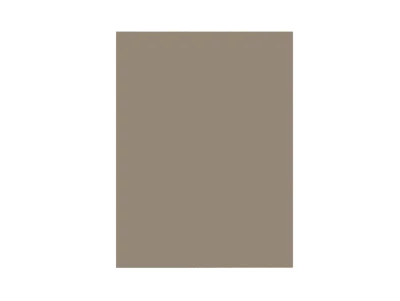 Façade XL de meuble de cuisine pour électroménager Palma champagne l.60 x H.90 cm