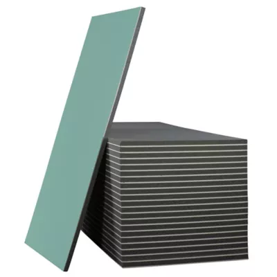 Plaque de doublage hydrofuge 250 x 120 cm, ép.13 mm + 40 mm (vendu à la plaque) zone « Sud »