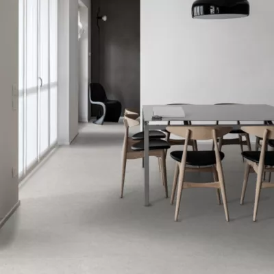 Carrelage sol extérieur Atrio gris 60 x 120 cm