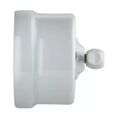 Interrupteur va-et-vient saillie Fontini Garby Porcelaine blanche, manette blanche