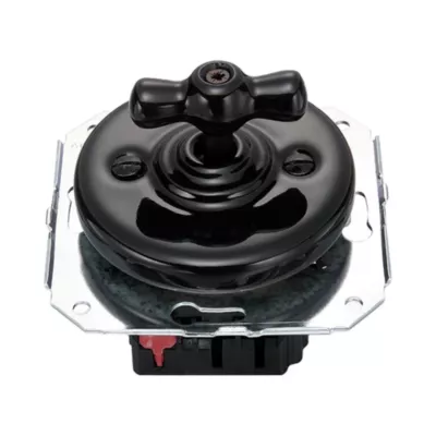 Interrupteur va-et-vient Fontini Garby Porcelaine noire, manette noire