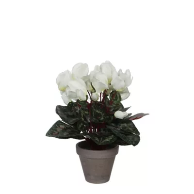 Cyclamen blanc artificiel ø30 x h.30 cm en pot Stan gris ø11,5 cm