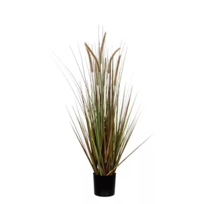 Herbe panache dogtail vert artificiel en pot ø70 x h.150 cm