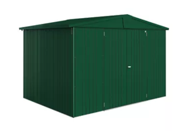 Abri de jardin métal Biohort Europa T5 vert foncé surface totale 7.2 m²