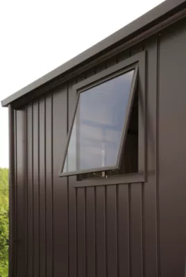 Elément de fenêtre pour abri de jardin Biohort Europa gris foncé
