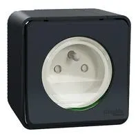 PRISE COURANT MUREVA 2P+T IP55 SCHMUR35031