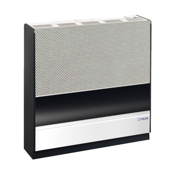 Image principale de Radiateur Gaz 3105, 4,6 kW,Cheminée Ø 97, Corps fonte Gaz naturel butane ou propane Réf. 212100