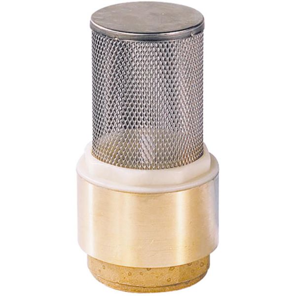 Clapet crépine de retenue toute position femelle 15x21 laiton 310004