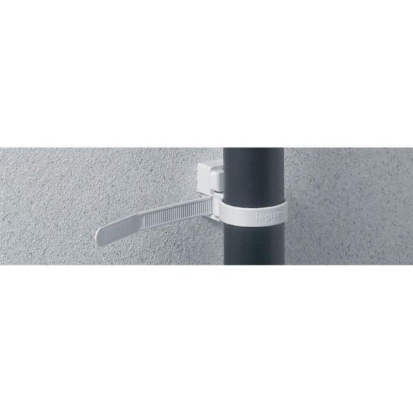 Image principale de Collier polyamide incolore de serrage 24 x 12 x 5,2 mm mm sachet de 20 pièces