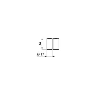 Piles lithium 6v type 123a (2) réf 990123