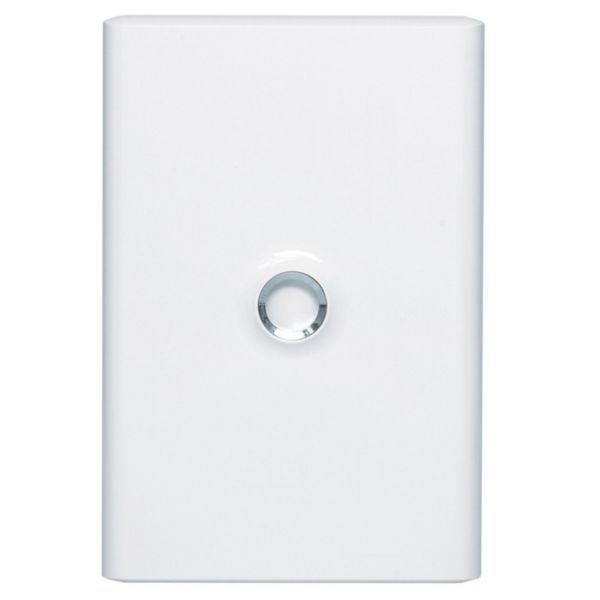 Porte Drivia blanche IP 40 IK 07 pour coffret Réf 4 012 12 Blanc RAL 9003 Ref.401332