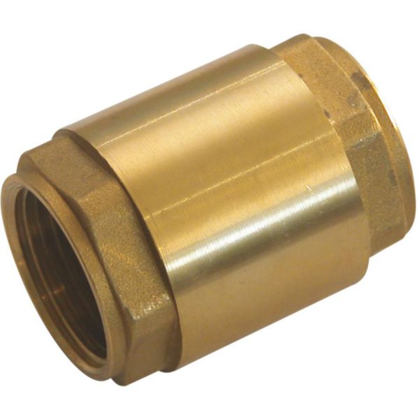 Image principale de Clapet anti-retour 306 toutes positions taraudé BSP 1'' Réf 306006