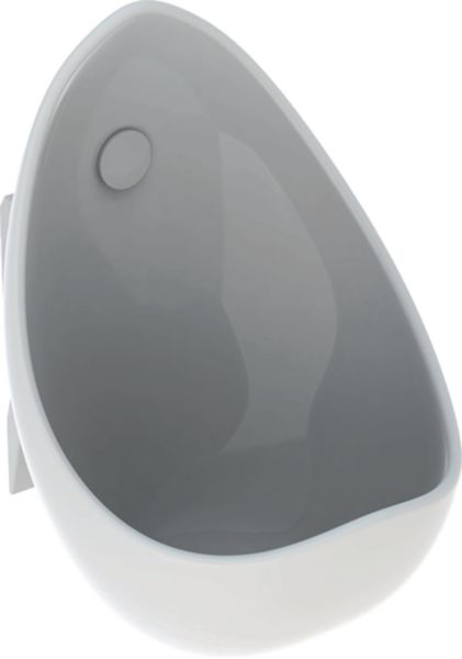 Image principale de Pack urinoir AUBAGNE 2, prêt à poser, alimentation et évacuation apparentes, blanc Réf. 08363900000300