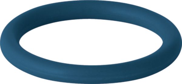 Image principale de Joint torique en FKM D42mm, Bleu Réf 90887