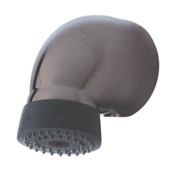 Image principale de Pomme douche complète + vis en sachet réf 90725