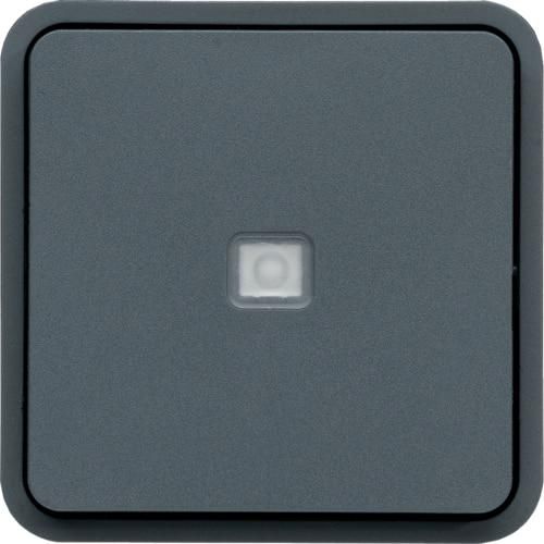 Cubyko bp 1o/1f lumineux assoc. gris Réf. WNA021