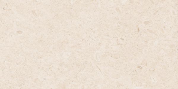 Grés cérame émaillé Ragno Eterna blanco rectifié 30 x 60 cm Réf. R8JZ